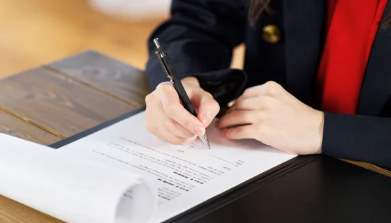 What is Business License Services Compliance with One IBC?