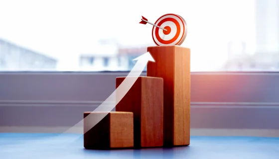 What is Growth Strategies with One IBC?