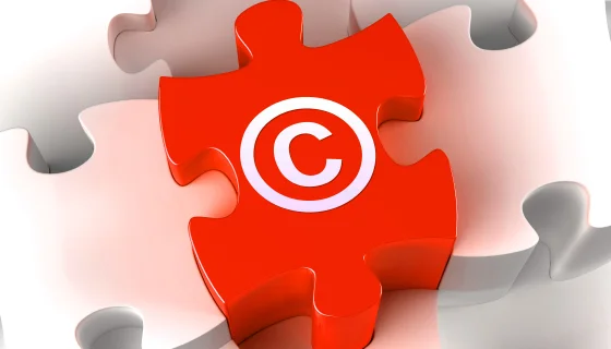 What is Patent & Copyright with One IBC?
