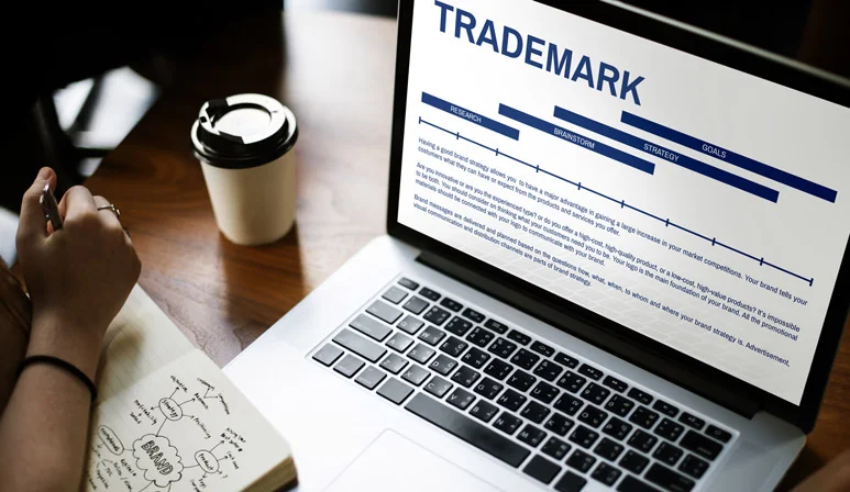 A California State Trademark Search helps businesses secure their intellectual property rights and brand identity