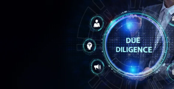 Due Diligence