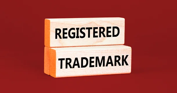 What does LLC formation mean? What does LLC formation mean?