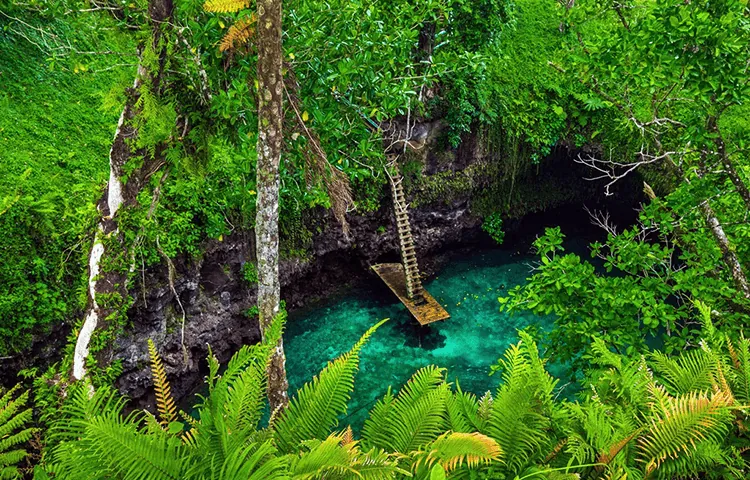 Main Characteristics Main Characteristics