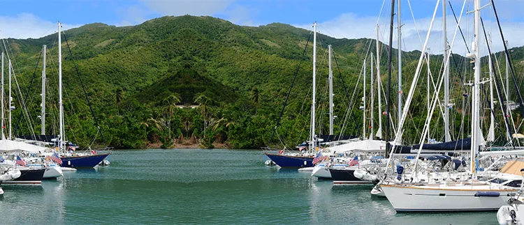 British Virgin Islands Business Company British Virgin Islands Business Company