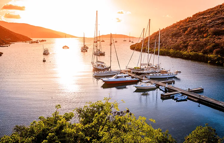 BVI Corporate Name BVI Corporate Name