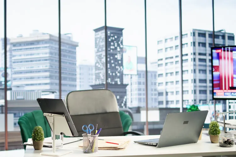 Key characteristics of Georgia S Corporation