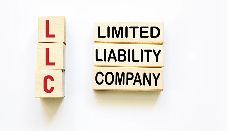 Benefits of LLC formation in Wyoming for new businesses