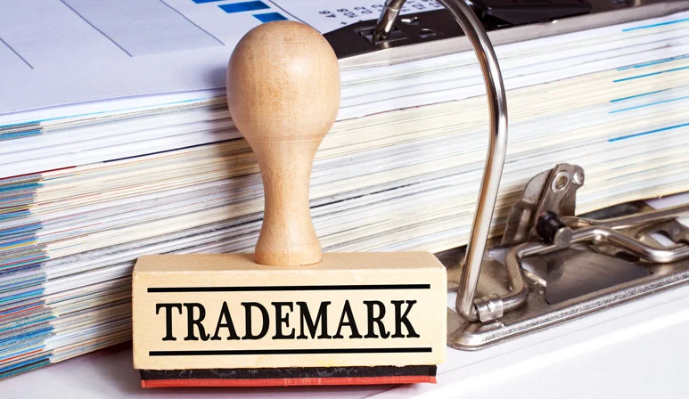 These fees vary based on filing classes, filing method, and whether an attorney is hired.