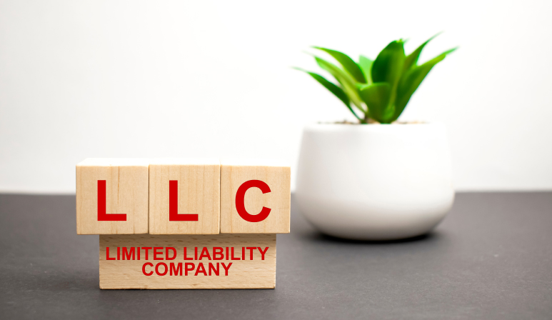 Get Started by Registering LLC in Minnesota Correctly