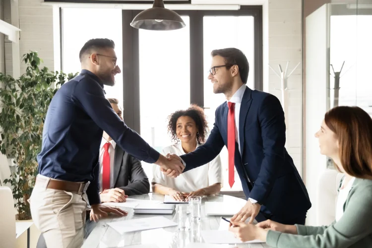 Illinois Secretary of State Good Standing Search