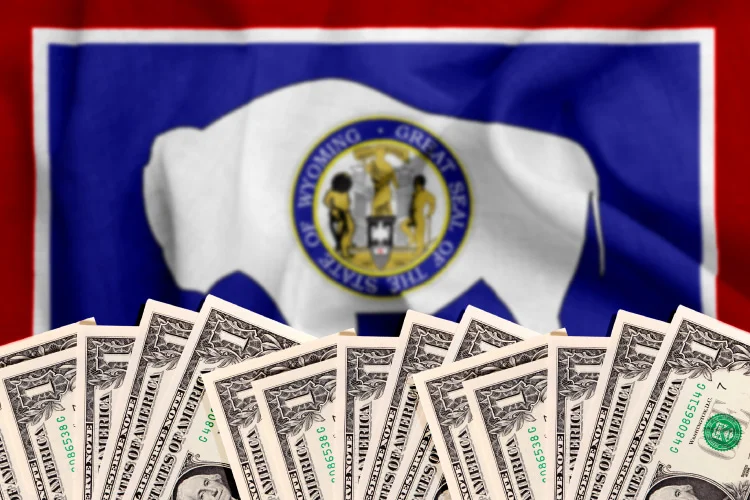 Requirements for Wyoming Business License