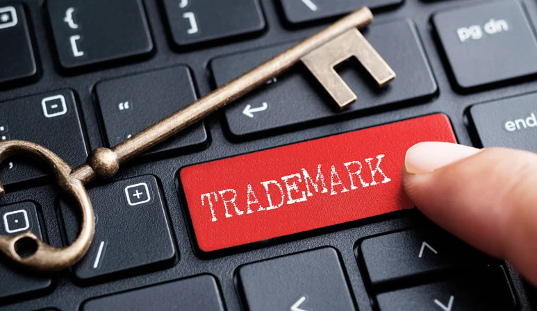 Search the USPTO database to ensure your trademark isn't already registered and avoid disputes.