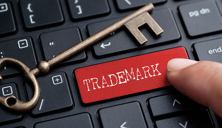 A Colorado Secretary of State trademark search helps avoid conflicts and ensures a smoother registration process.