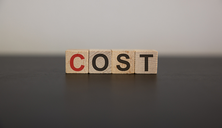 Cost Factors When Setting Up an LLC in Colorado