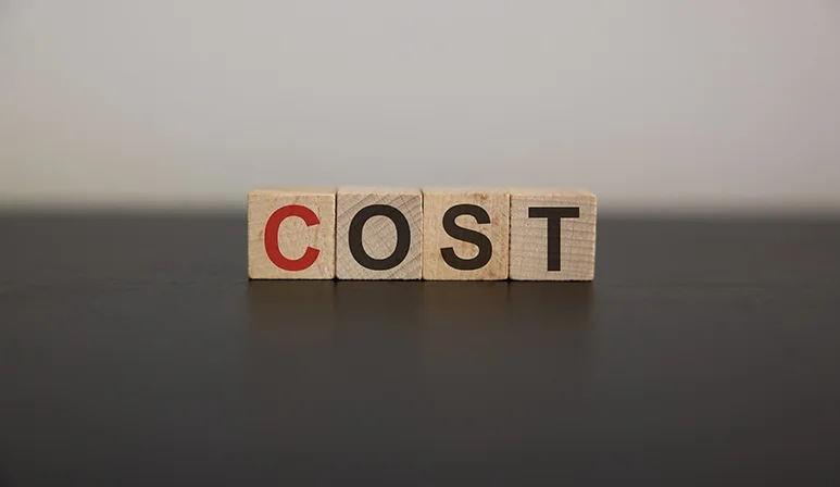 Cost Factors When Setting Up an LLC in Colorado