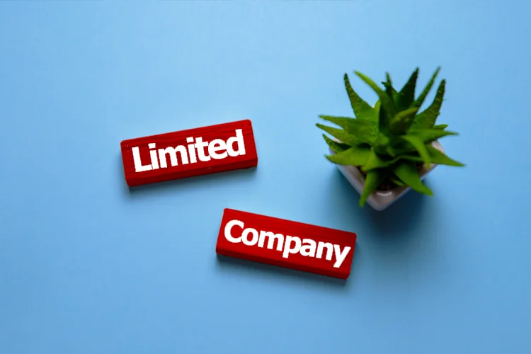 Advantages of Georgia Company Incorporation