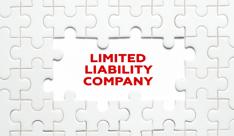 Protect Your Business with Minnesota Registered Agent Services LLC
