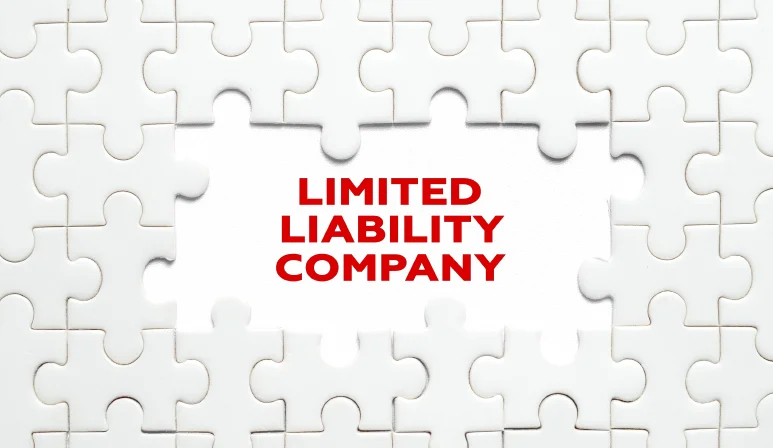 Protect Your Business with Minnesota Registered Agent Services LLC