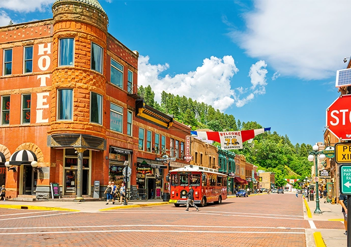 Types of LLCs in South Dakota Types of LLCs in South Dakota