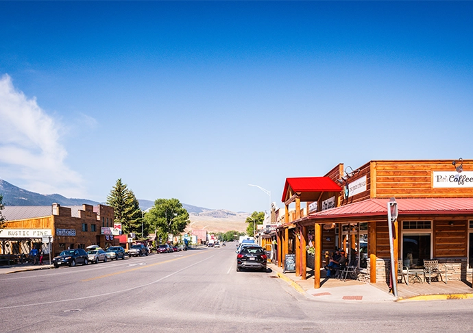 Types of LLCs in Wyoming