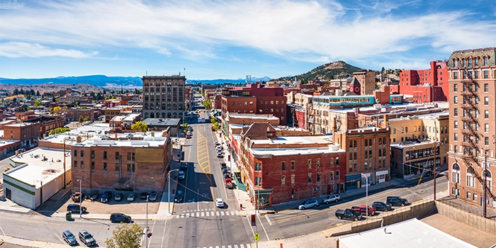 Why choose an LLC in Montana?