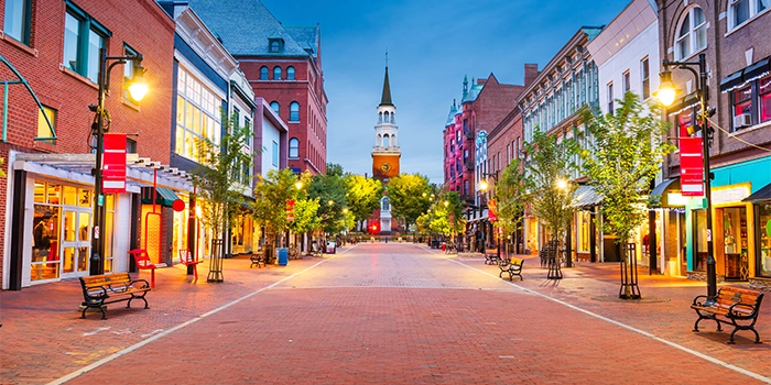 Why choose an LLC in Vermont? Why choose an LLC in Vermont?