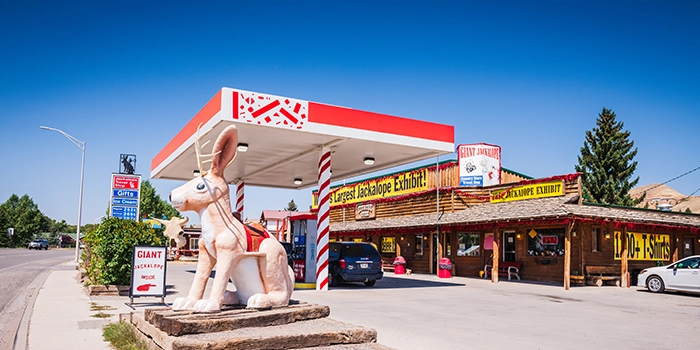 Why choose an LLC in Wyoming?