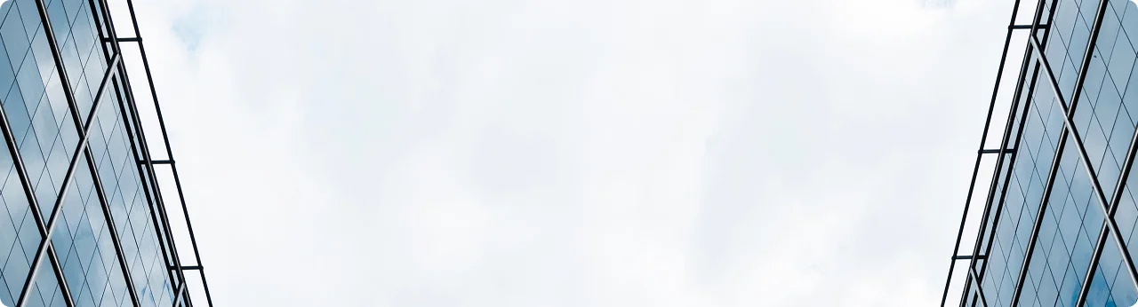 Why use One IBC to set up your S-Corp?
