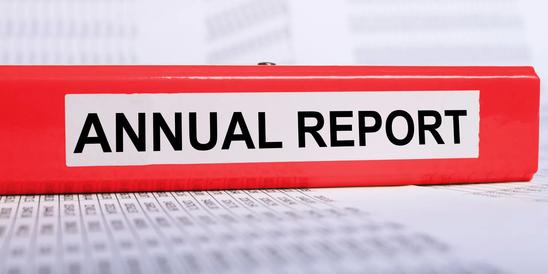 Florida File Florida Annual Report Filing: Compliance and Avoiding Late Fees