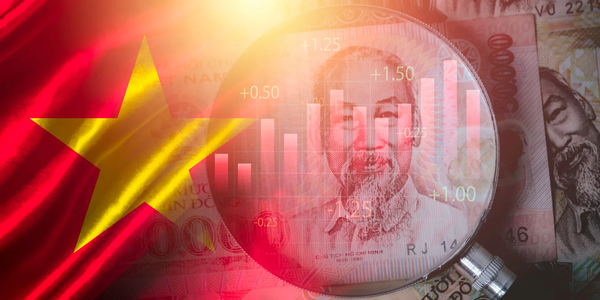 Establishing a Limited Liability Company in Vietnam