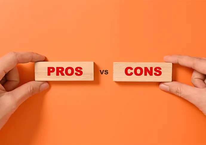Pros and Cons of an LLC in South Carolina Pros and Cons of an LLC in South Carolina
