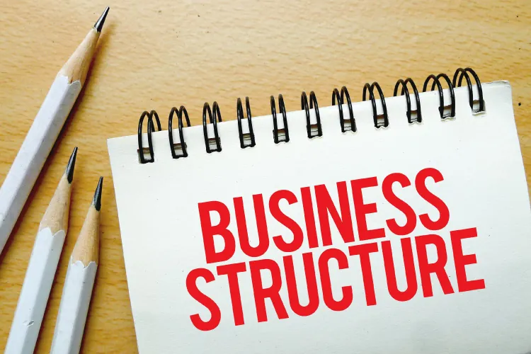 Review practical examples of business structures in Singapore Review practical examples of business structures in Singapore