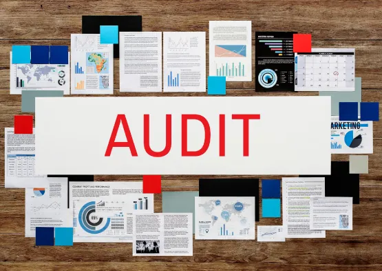 Essential Guide to Hong Kong Company Audit Requirements