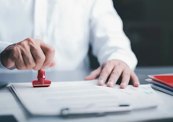 Guide to the Las Vegas Business License Application Process