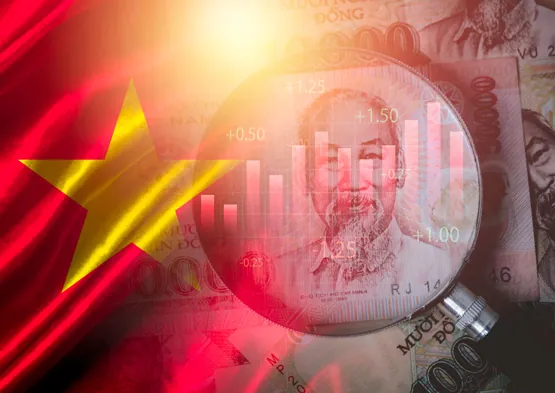 Establishing a Limited Liability Company in Vietnam