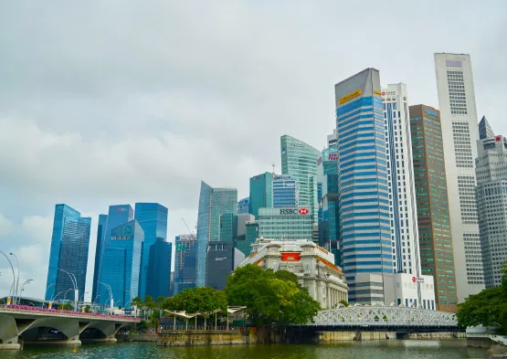 Local Companies in Singapore: Guide to Supporting Homegrown Businesses