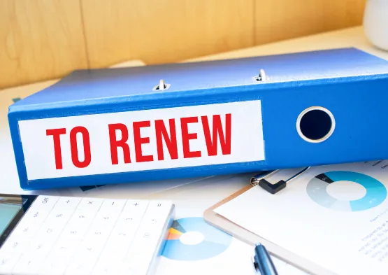 Renew an LLC in Georgia: Guide to Annual Registration, Fees, and Compliance