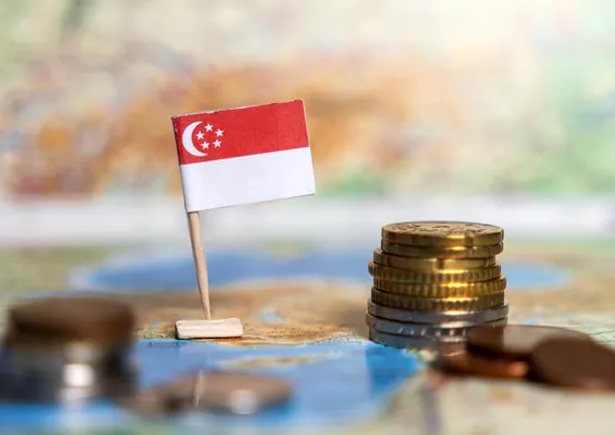 Exploring Short-Term Investment in Singapore