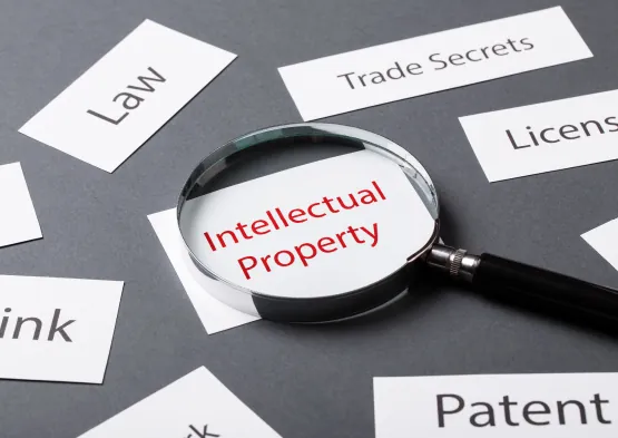 Trademark in Louisiana: Guide to Search, Registration, and Legal Protection