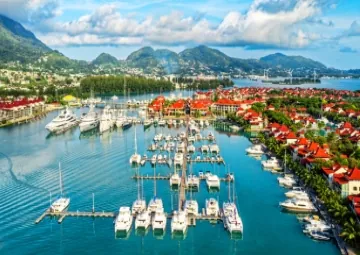 Urgent Notice for Seychelles Company Owners: Act Now to Avoid Dissolution