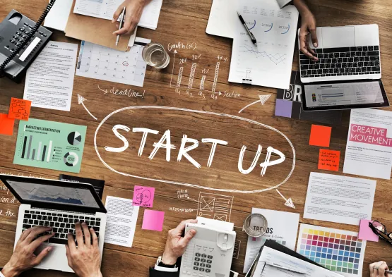 Launch Your Startup in Hong Kong: Procedures, Ideas, and Compliance