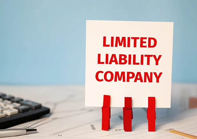 Types of LLCs in Connecticut Types of LLCs in Connecticut