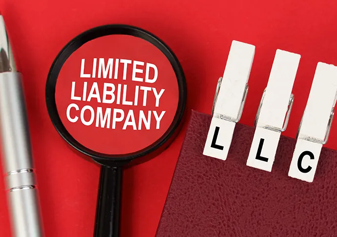 Types of LLCs in Iowa