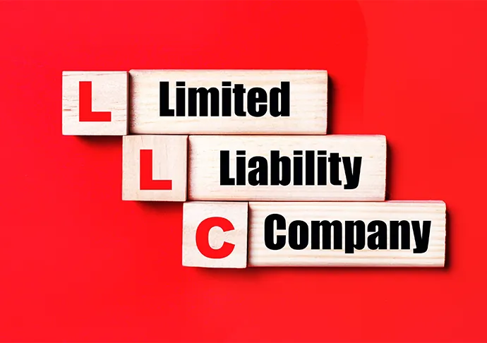 Types of LLCs in Nevada