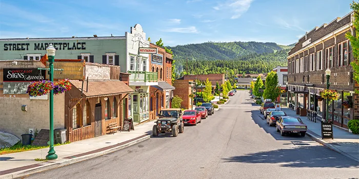 What is an Idaho LLC? What is an Idaho LLC?