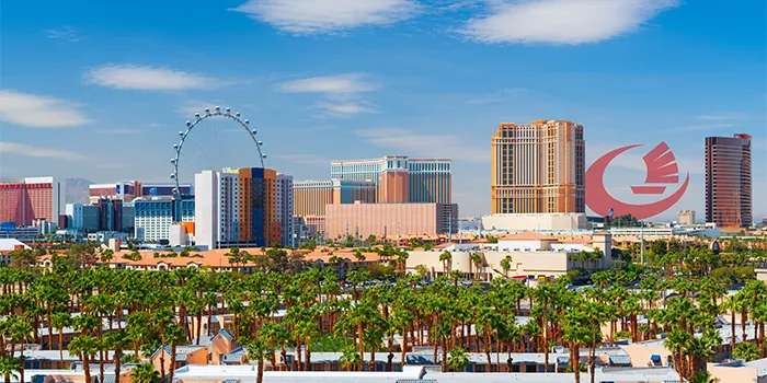 What is a Nevada LLC?