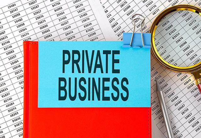 Why Do You Need to Form a Private Limited Company?