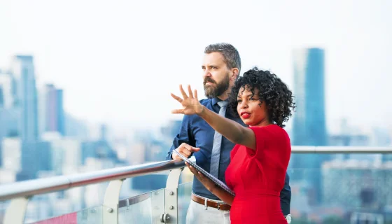 What is an LLC?