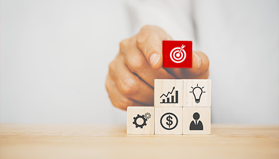 What is People & Organizational Performance Services?