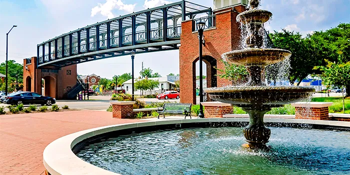 Why Choose an LLC in Alabama?